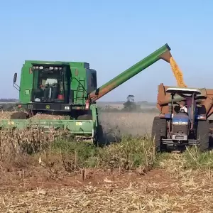 Las lluvias registradas en abril fueron propicias para el desarrollo de cultivos de soja y ma�z zafri�a