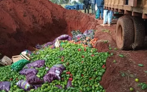 Fiscal�a entierra miles de alimentos porque ingresaron al pa�s sin documentos