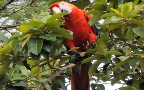 La naturaleza, la cultura, las tradiciones como base para las soluciones
