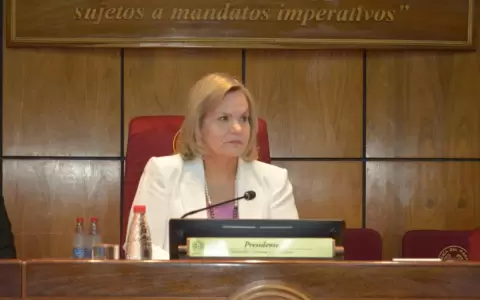 Comisi�n del Senado convocar� al Ejecutivo para debatir legalidad de designaciones en Itaip�