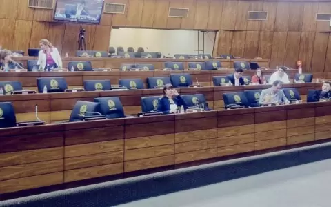 Senadora cuestiona ausencia de colegas en la Comisi�n Bicameral de Presupuesto