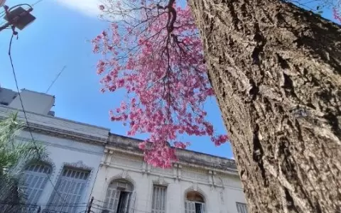 �La estaci�n m�s alegre! Hoy se celebra inicio de la primavera y el D�a de la Juventud