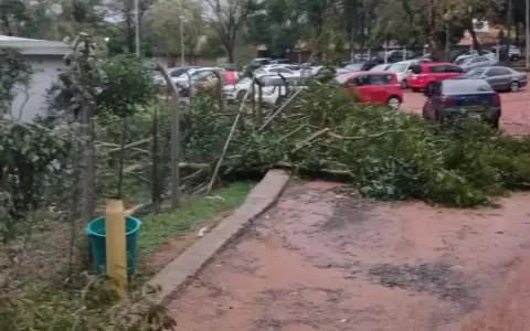 Los detrozos que dej� la tormenta en Central