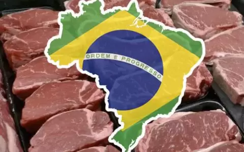 Mayor presencia de carne brasile�a en el mercado chileno plantea desaf�os para la industria paraguaya