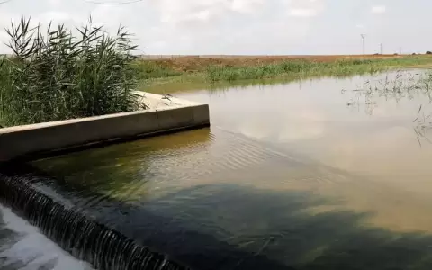 Alertan de contaminaci�n de aguas con glifosato en la UE