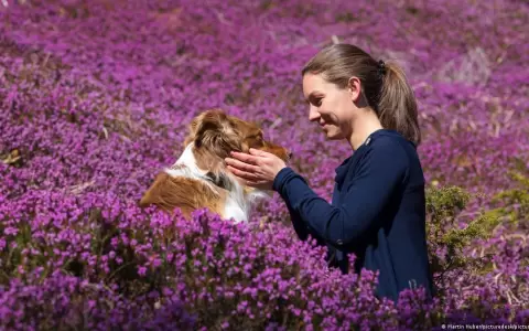 �Por qu� los perros prefieren las voces femeninas?