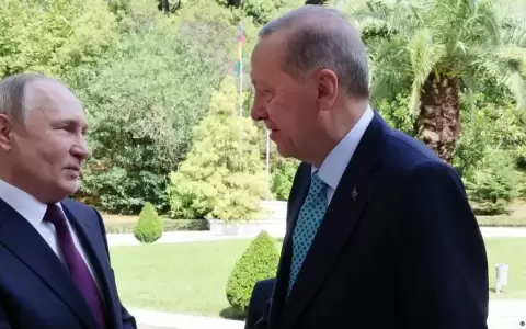 Erdogan busca con Putin un anuncio "importante" sobre granos