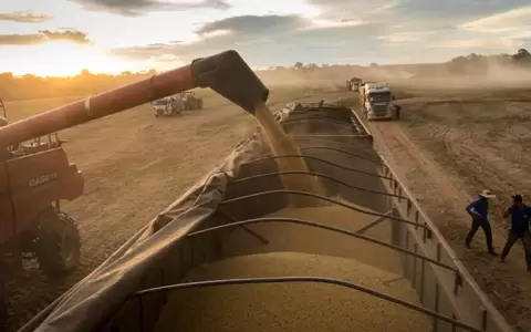 Exportaciones de soja impulsan incremento del 150% en los ingresos al cierre de septiembre