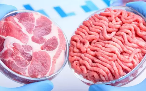 Media sanci�n a ley que proh�be carne sint�tica en Paraguay