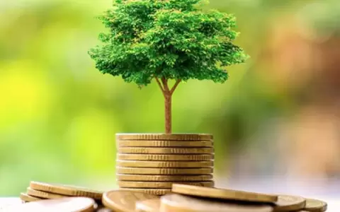Paraguay se encamina hacia el financiamiento verde con bonos