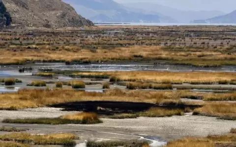 El agua en el lago Titicaca cae a un nivel m�nimo hist�rico