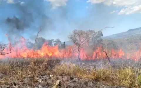 Enorme incendio de pastizal en Arroyos y Esteros causa accidente con un fallecido