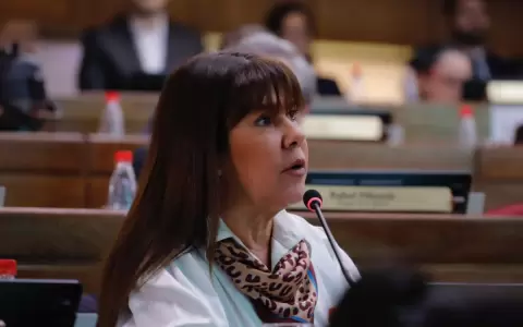 Senadora dice que hay que procesar por tentativa de estafa a proyectistas de la expropiaci�n de tierras