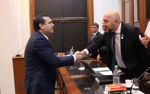 Derlis Maidana jur� ante el JEM en reemplazo de Hern�n Rivas
