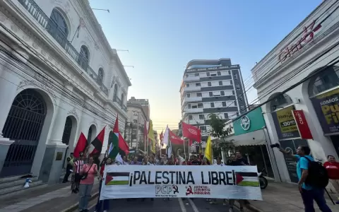 Manifestaci�n de ciudadanos a favor de la poblaci�n de Palestina