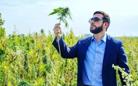 Paraguay se convierte en un hub de fabricaci�n de productos terminados de c��amo