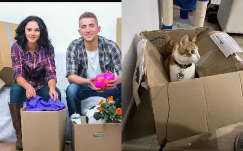 �Qu� actitud toma un gato cuando debe cambiar de due�o?