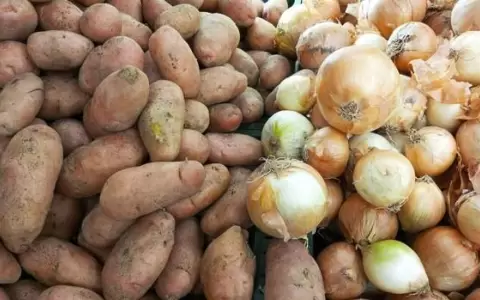 Productores de papa y cebolla, preocupados por la competencia extranjera