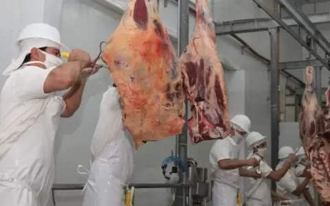Cuadrillas kosher buscan garantizar el suministro de carne en Israel