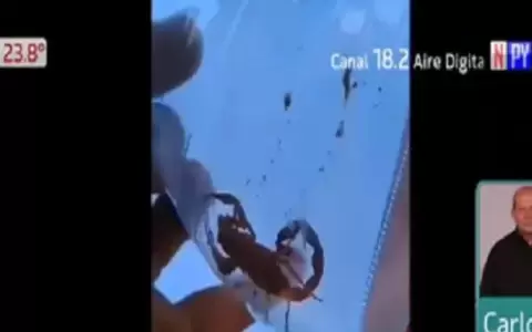 Se salvaron de ser picados por "una familia" de alacranes