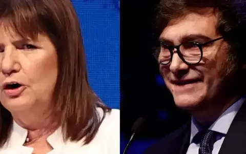 Patricia Bullrich denuncia penalmente a Javier Milei