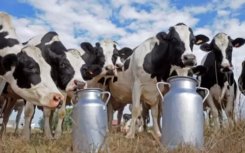 El sector l�cteo busca nuevos mercados para sostener su crecimiento
