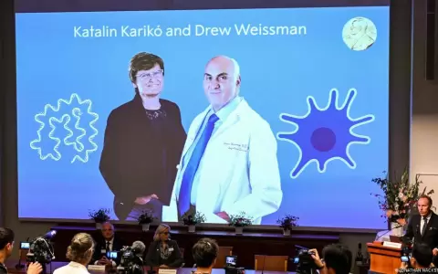Nobel de Medicina por desarrollo de vacunas ARN mensajero