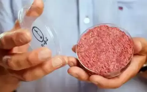 En audiencia tratar�n proyecto que prohibe la "carne sint�tica"
