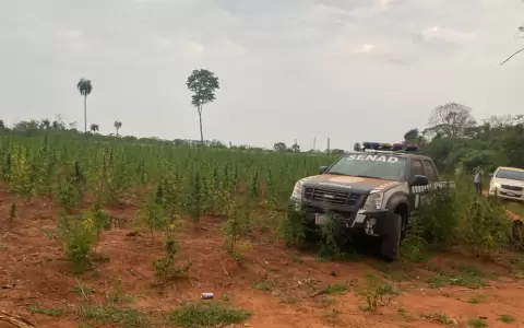 Tras allanamiento en Maracan�, incautan 6.000 kilos de marihuana