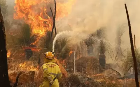 Incendios en Australia obligan a pobladores a huir de casa