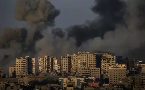 M�s de 8.000 muertos por los bombardeos de Israel en la Franja de Gaza
