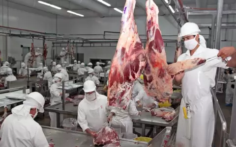 Preocupaci�n en la industria de la carne: ca�da de la faena a niveles hist�ricos