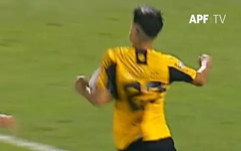 El an�lisis arbitral del gol que anularon a Guaran�