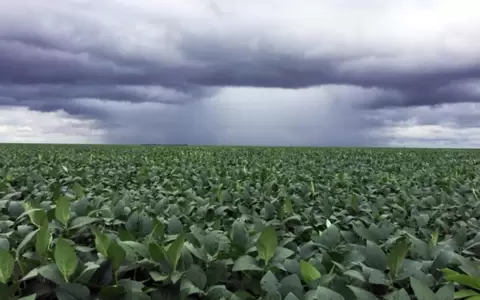 Agricultura.