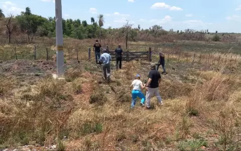 Caso �scar Denis: enviaron fotos del paladar encontrado en Bella Vista a odont�loga