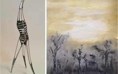 "Opuestos": Juan Pablo Pistilli y Fred Brauner exponen en el ICPA