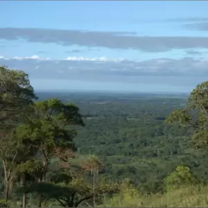 Carbono: Paraguay apunta a ser l�der mundial en sostenibilidad