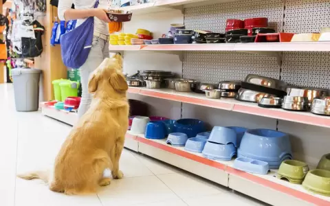 Huellitas Petshop en Lambar�: un para�so para mascotas y amantes de los animales