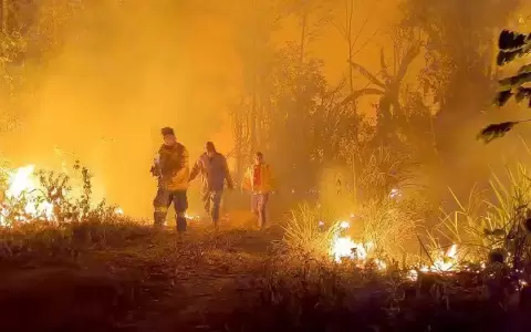 Aumenta amenaza de los incendios forestales en Latinoam�rica