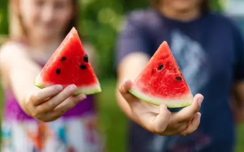 Sand�a, reina de las frutas en el verano