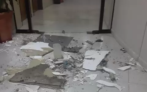 Cay� parte del techo del Senado