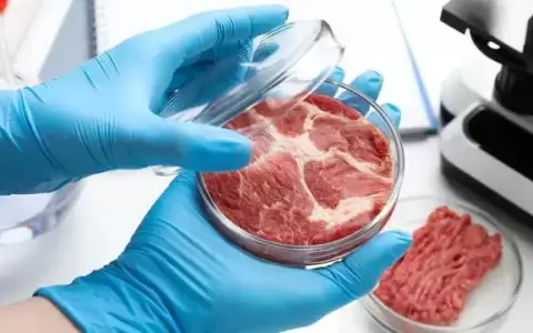 Paraguay avanza hacia la prohibici�n de la carne cultivada en laboratorio