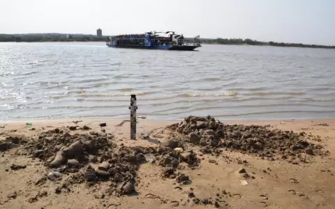 Hallan cuerpos de dos paraguayos en Puerto Pilcomayo