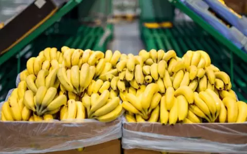 Bananas paraguayas volver�n al mercado argentino