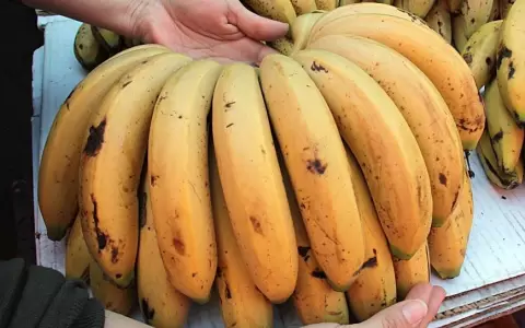 Banana.