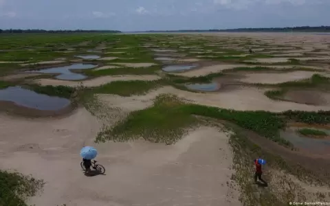 El Fondo Amazon�a: �modelo global para protecci�n del clima?