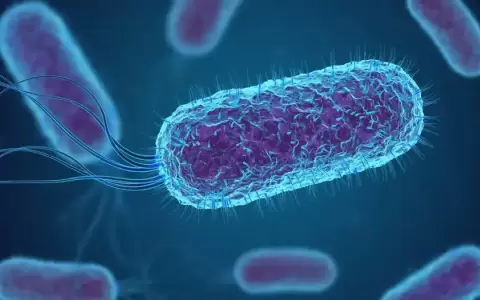 Resistencias a antibi�ticos: infecciones letales