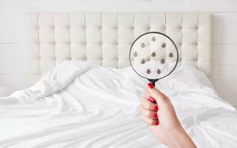 �C�mo se ve la piel cuando hay �caros en la cama?