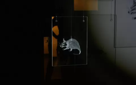 "Ejercicios nocturnos" de Luvier Casali: visita guiada y performances en Espacio K