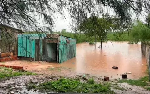 Inundaciones en el sur del pa�s dejan tr�gico saldo de 1.000 bovinos muertos